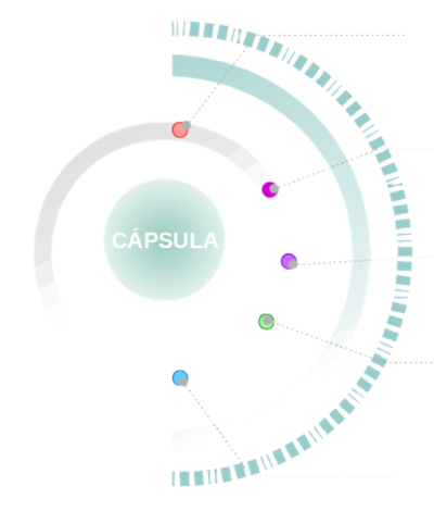 capsula_v2